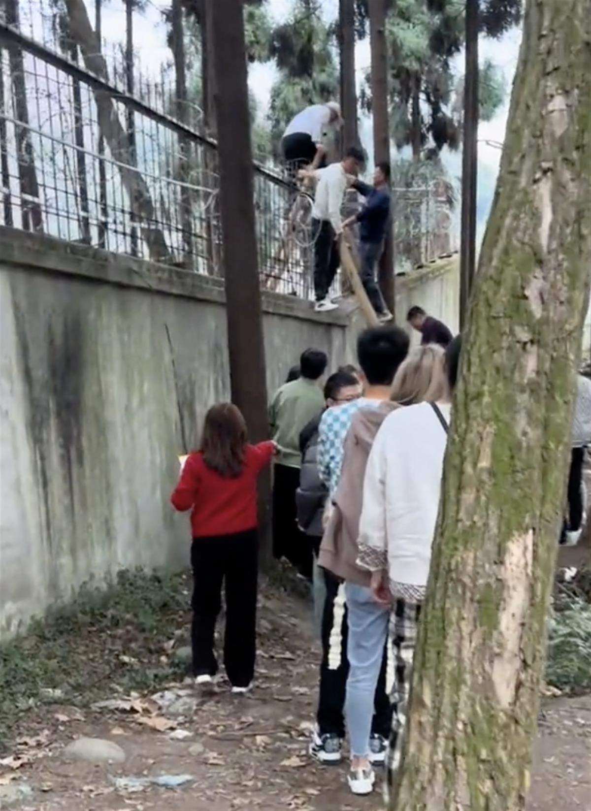 大V曝光黄牛收费60元，带游客爬梯翻墙进都江堰景区，官方回应