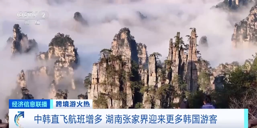 冲上热搜！这里“长满”韩国人！多家航空公司宣布：扩增航班！