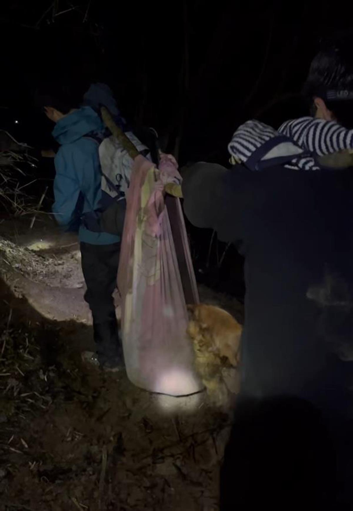 金毛犬受伤被困海拔2400米的深山，9名驴友深夜进山搜救，耗费6小时将它抬下山