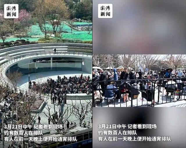 未命名图片