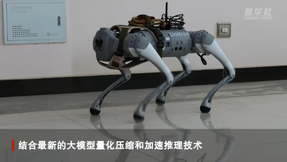 电子导盲犬可能要来了！相关研究在我国取得新突破
