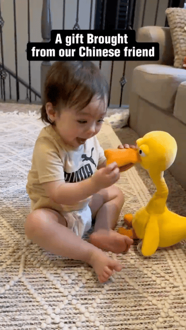 超百万播放、冲上销量榜首,老外爱上中国“育儿神器”