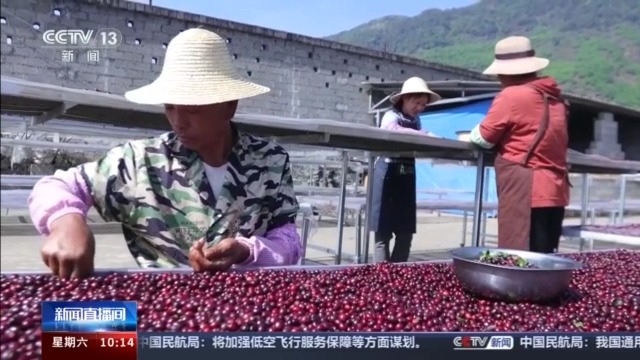 新增的足球、马术、咖啡等相关本科专业，今年高考就能报名了！