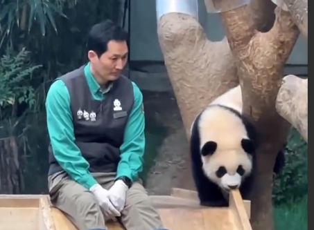 “福宝”把“宋宝”的魂都带走了，泪奔后的落寞……