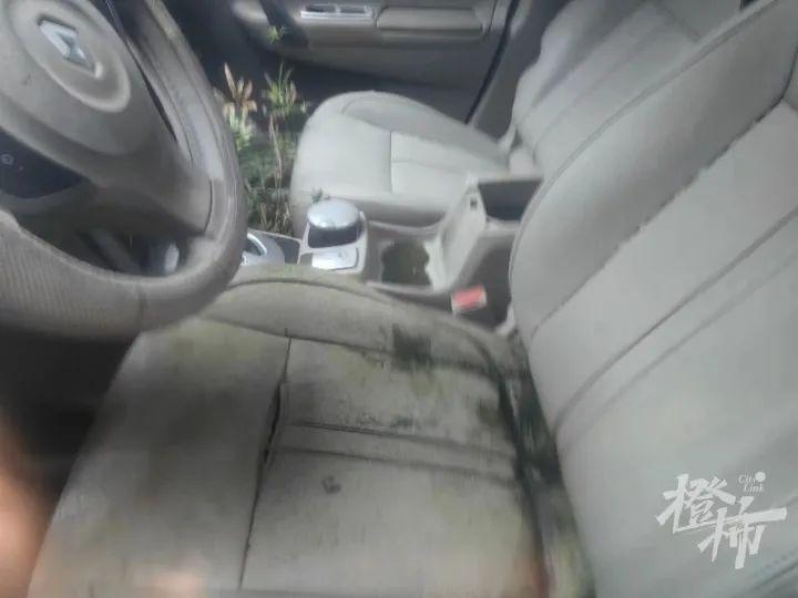 “副驾驶座去年长的草还在，今年又出新叶！”沈塘桥路边这辆停了7年的车是谁的？