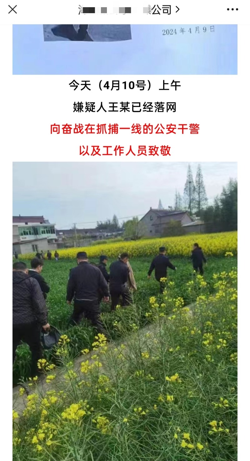 江苏海安重大刑事案件6旬犯罪嫌疑人落网！潜逃后在油菜花田被警方擒获