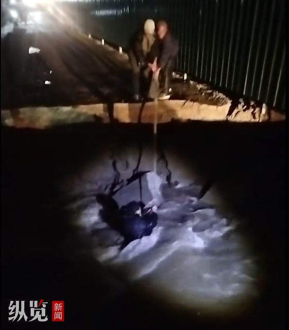 面对有人落水，河北49岁外卖员取消配送订单救起落水者，外卖平台：不予罚款，奖励两千