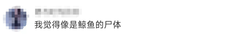 未命名图片