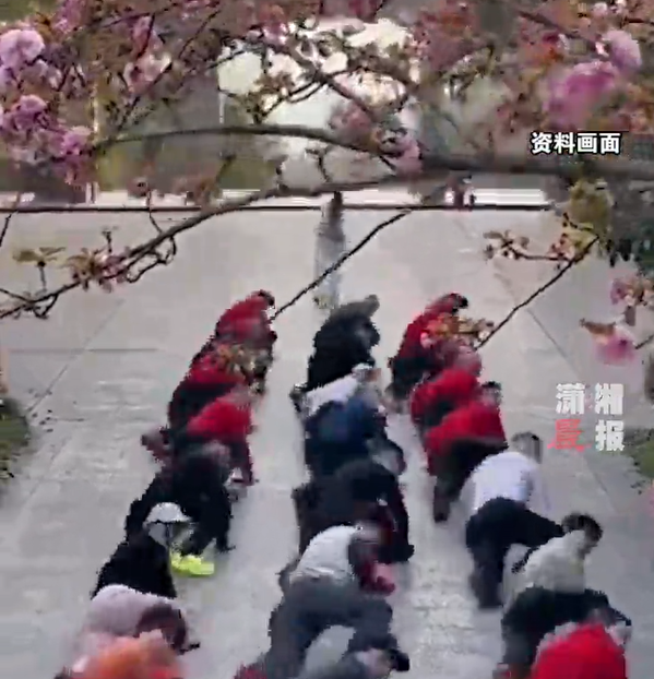 “鳄鱼爬”火了！公园现硬核锻炼，咱爸咱妈能学吗？医生提醒
