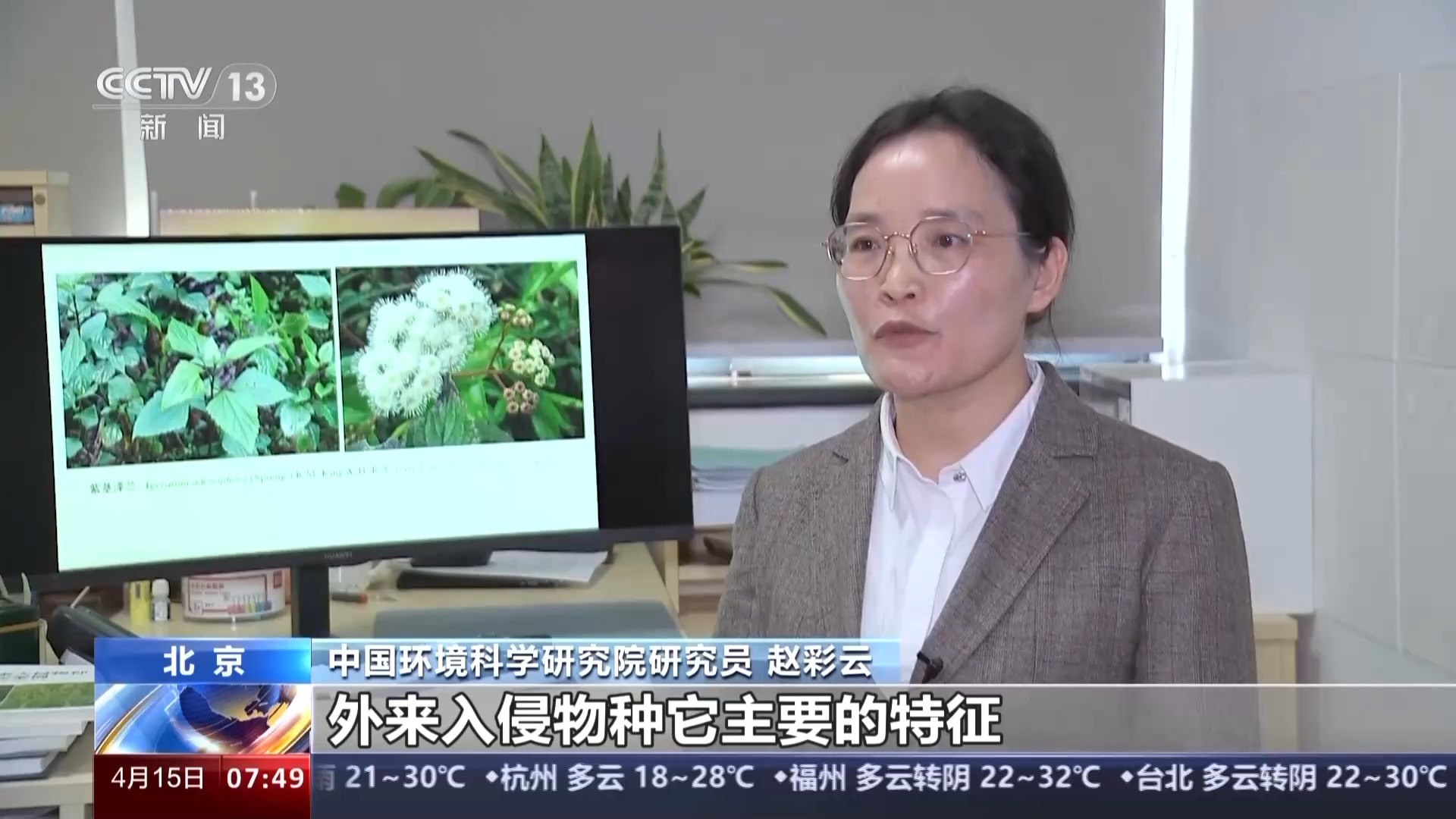 我国已记录660多种外来入侵物种 面对外来物种入侵我们该如何应对?