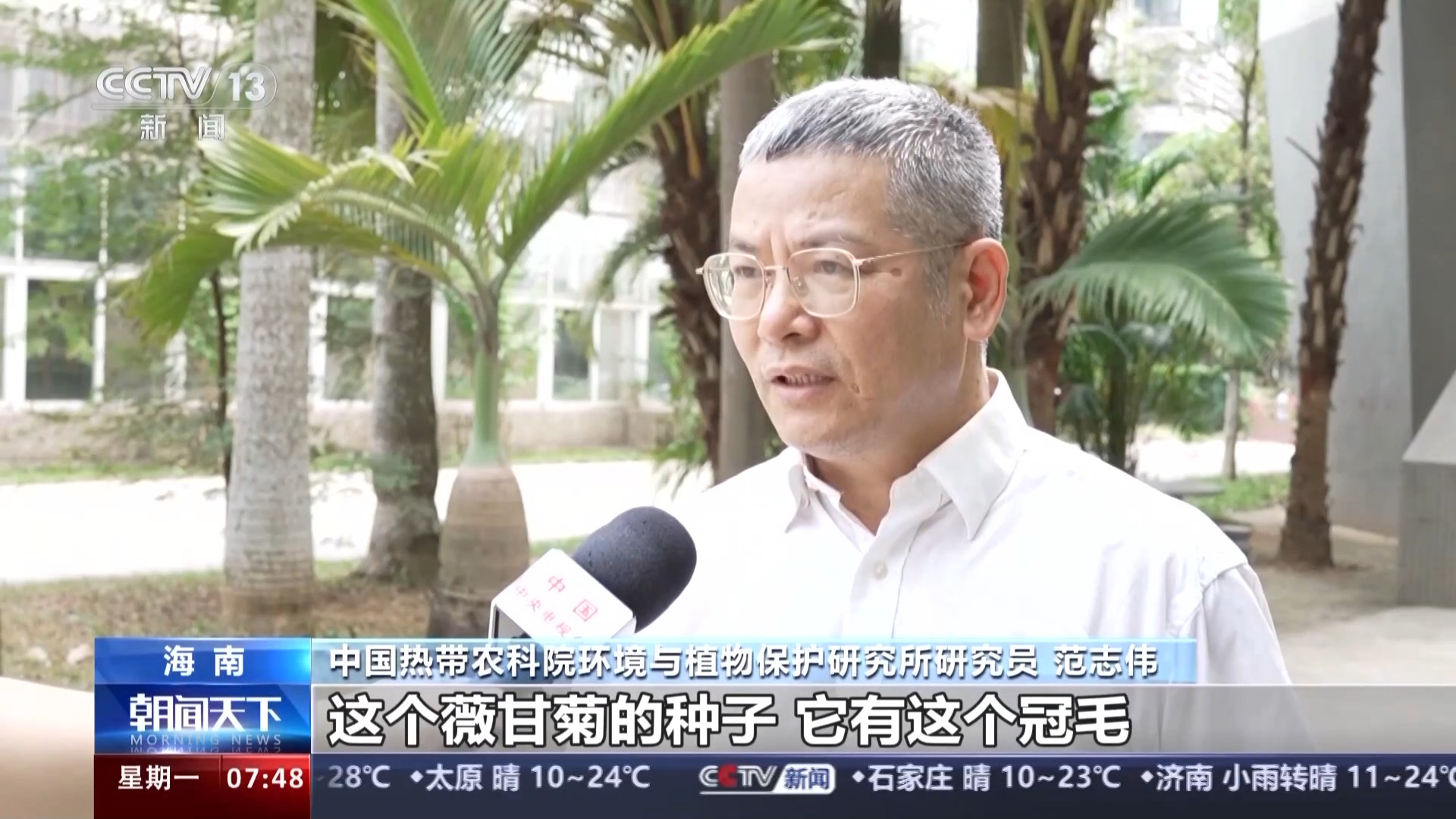 我国已记录660多种外来入侵物种 面对外来物种入侵我们该如何应对?