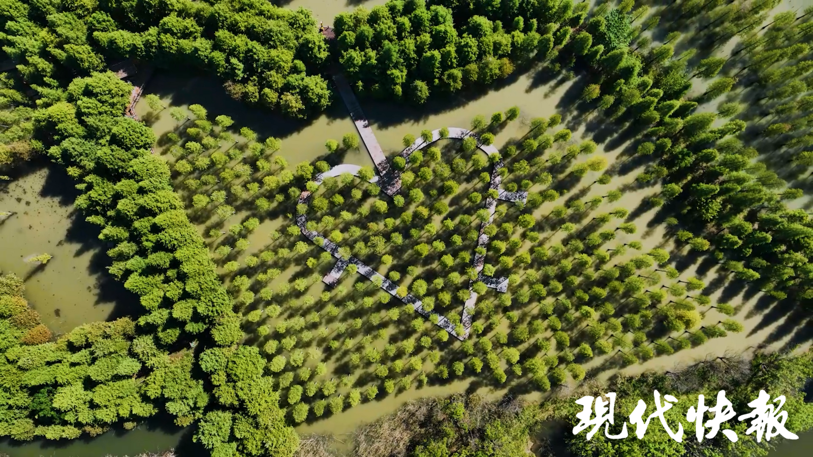 和谐共生｜解码“地球之肾”，中国湿地何以美出圈？