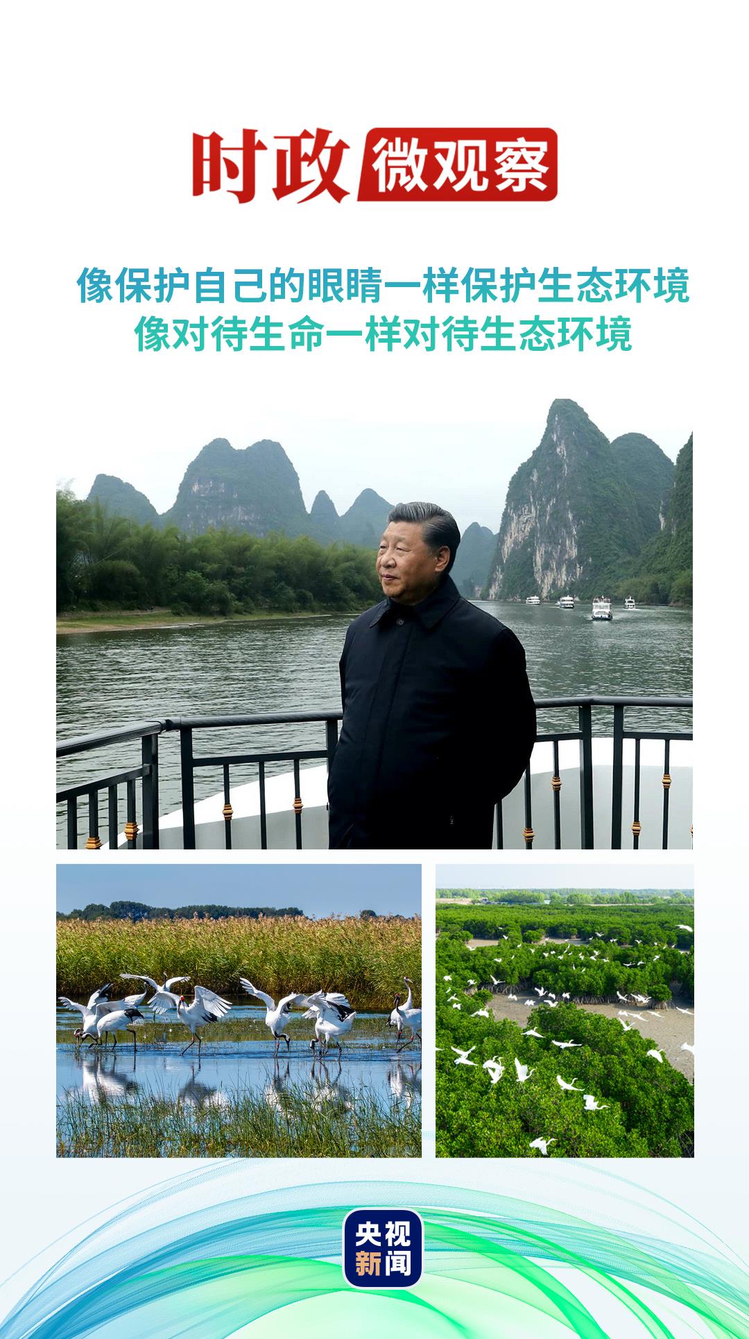 和谐共生丨地球上的这些“宝”,总书记叮嘱要呵护好