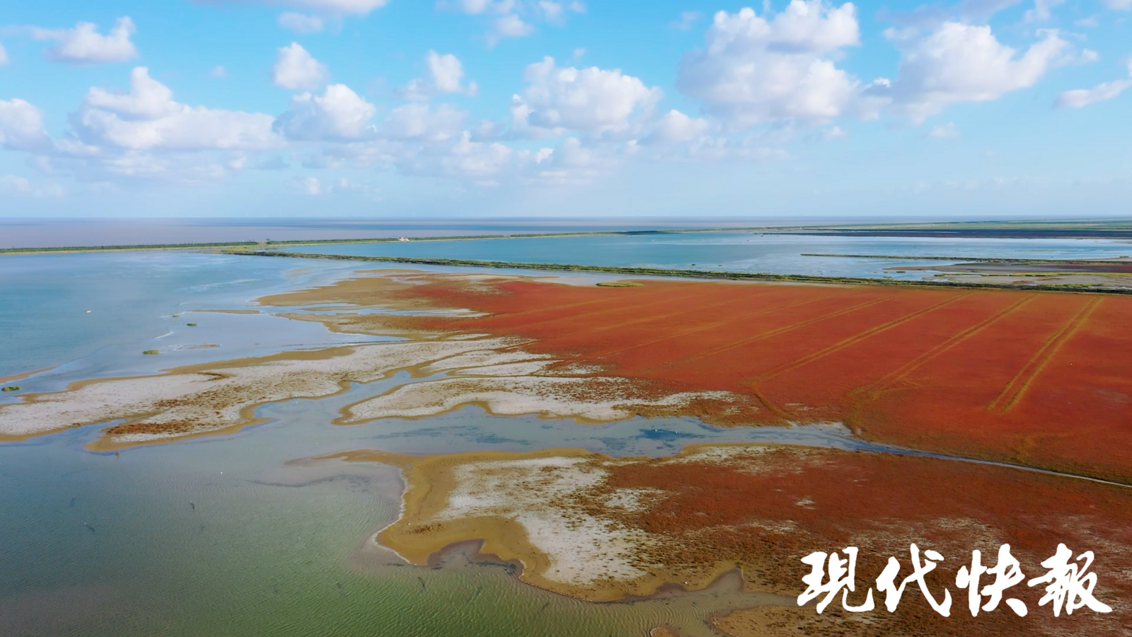 和谐共生｜解码“地球之肾”，中国湿地何以美出圈？