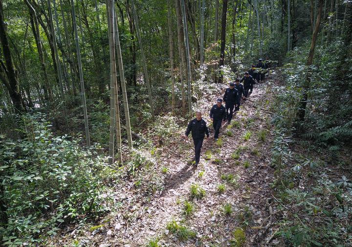 和谐共生丨地球上的这些“宝”,总书记叮嘱要呵护好