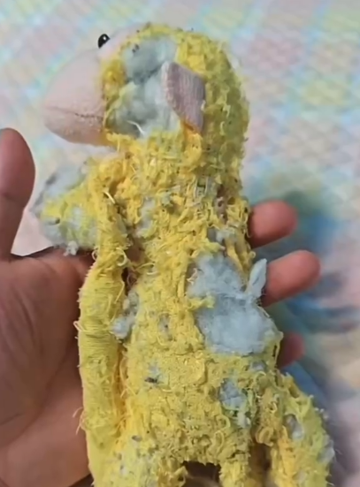 “停产了！”父亲为儿子的玩偶求助全网，陌生人寄来珍藏同款，还有一封手写信……
