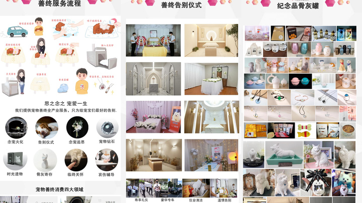 抬棺、烧冥币……宠物殡葬“过度消费”乱象频发：告别，为何变了味？