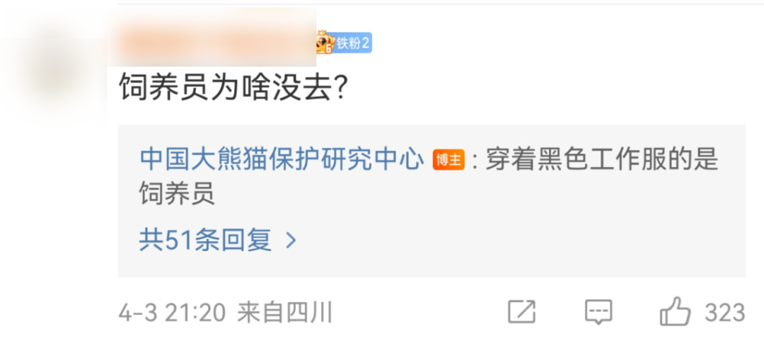 “福宝”疑似被戳引发中韩网友不满，最新回应来了