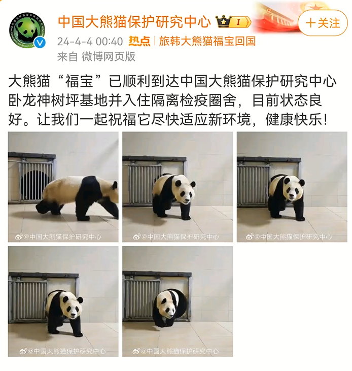“福宝”疑似被戳引发中韩网友不满，最新回应来了