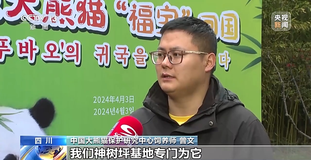 “福宝”回家啦！国外出生的大熊猫回国将闯过这三关