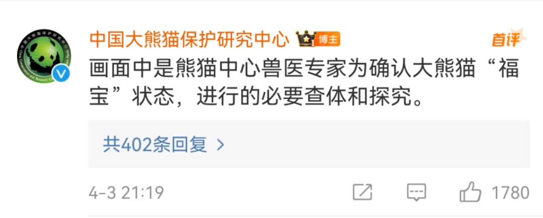 “福宝”疑似被戳引发中韩网友不满，最新回应来了