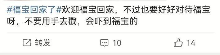 “福宝”疑似被戳引发中韩网友不满，最新回应来了