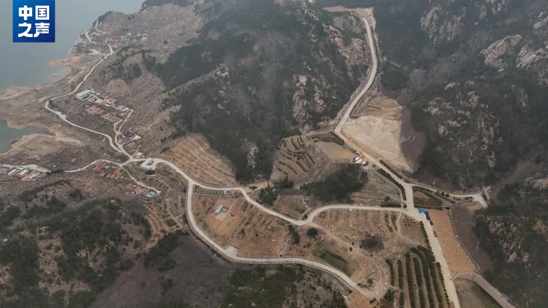 著名风景区内，900多亩青山成墓地！售价高达几十万元，运营公司法人代表是居委会主任