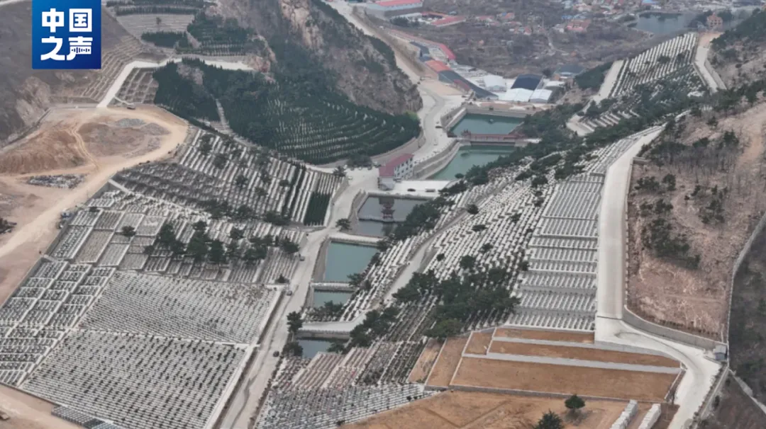 著名风景区内，900多亩青山成墓地！售价高达几十万元，运营公司法人代表是居委会主任