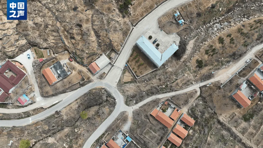 著名风景区内，900多亩青山成墓地！售价高达几十万元，运营公司法人代表是居委会主任