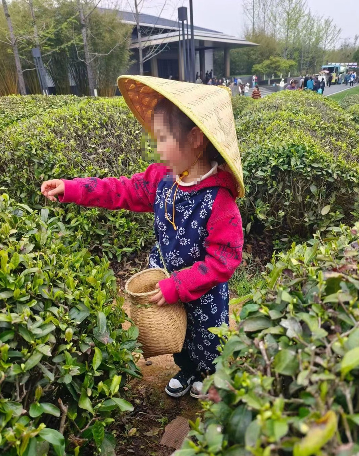 去陵园旅游度假？扫墓、采摘、逛集，“旅游+纪念园”模式兴起