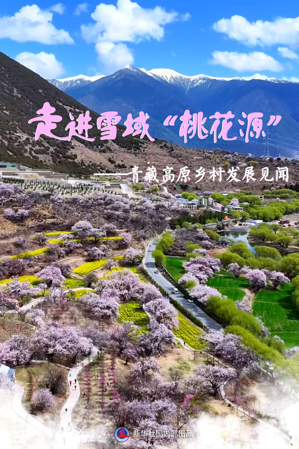 习近平总书记关切事｜走进雪域“桃花源”——青藏高原乡村发展见闻--华龙网