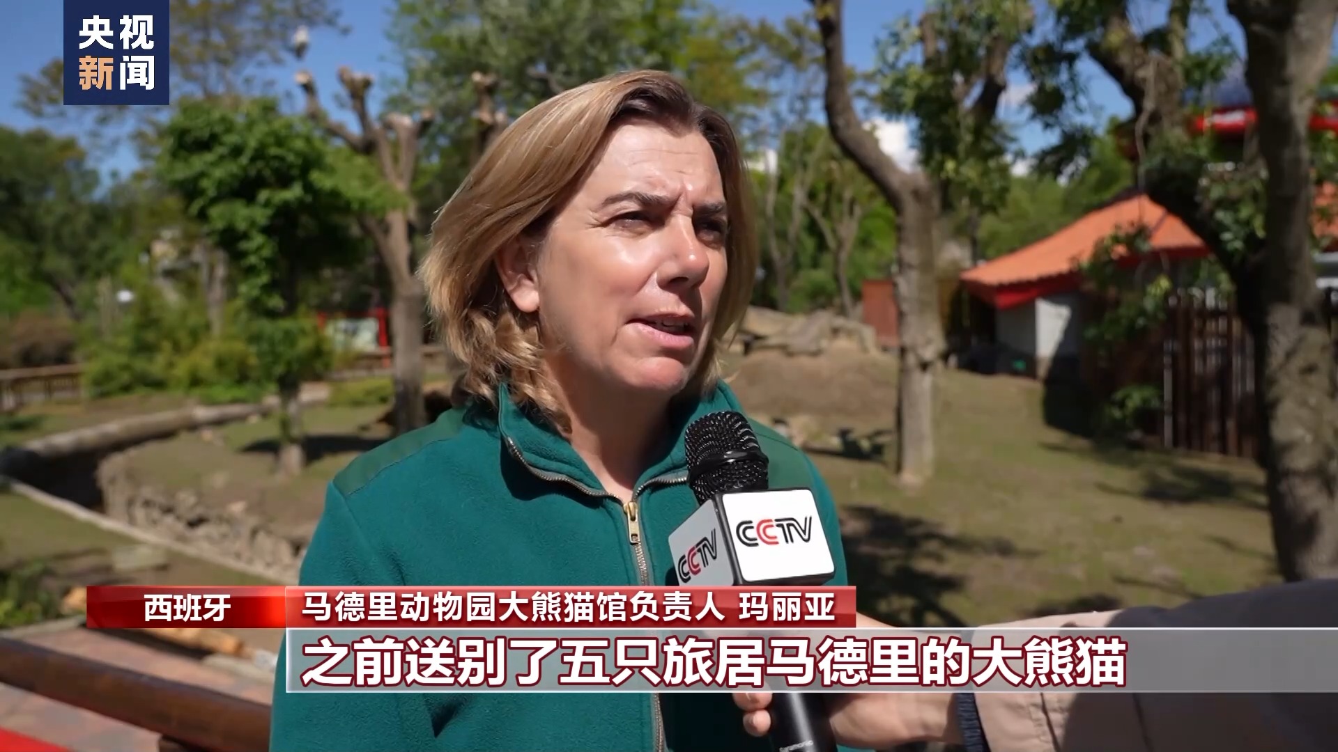 大熊猫“金喜”“茱萸”抵达西班牙 住进新家