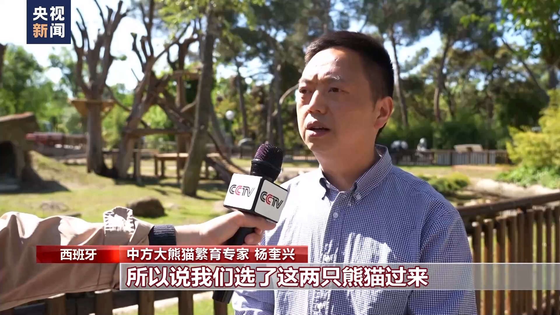 大熊猫“金喜”“茱萸”抵达西班牙 住进新家