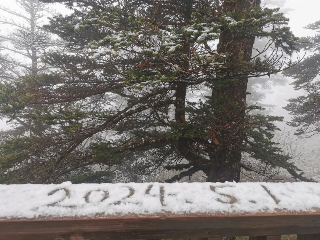 四川多地下雪了！成都下雨降温！这些景区门票已售磬