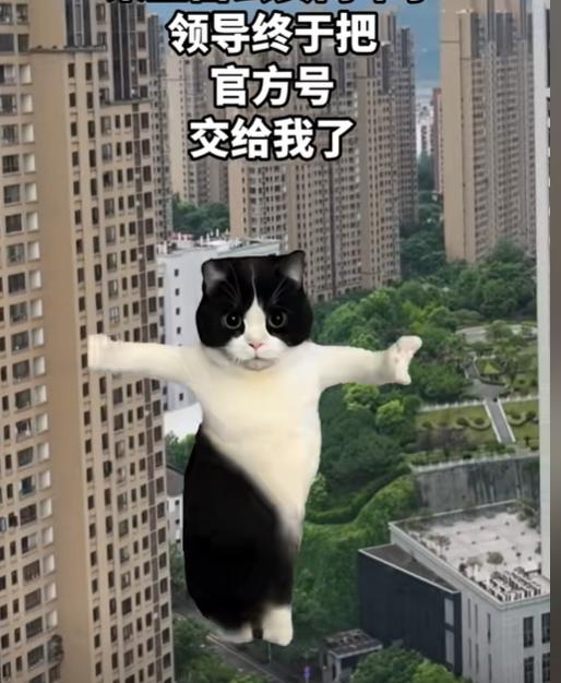 官方号还是到00后手里了，政务新媒体玩梗背后仍是流量焦虑