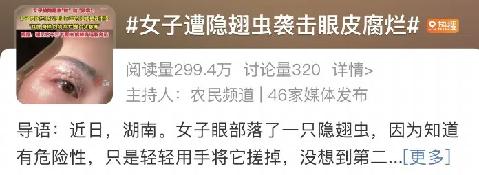 “会飞的硫酸”将进入活跃期,有人中招脖子烂了一圈