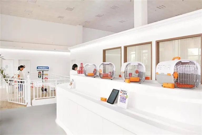 全国首家宠物候机厅来了,网友:“毛孩子”不肯走怎么办?