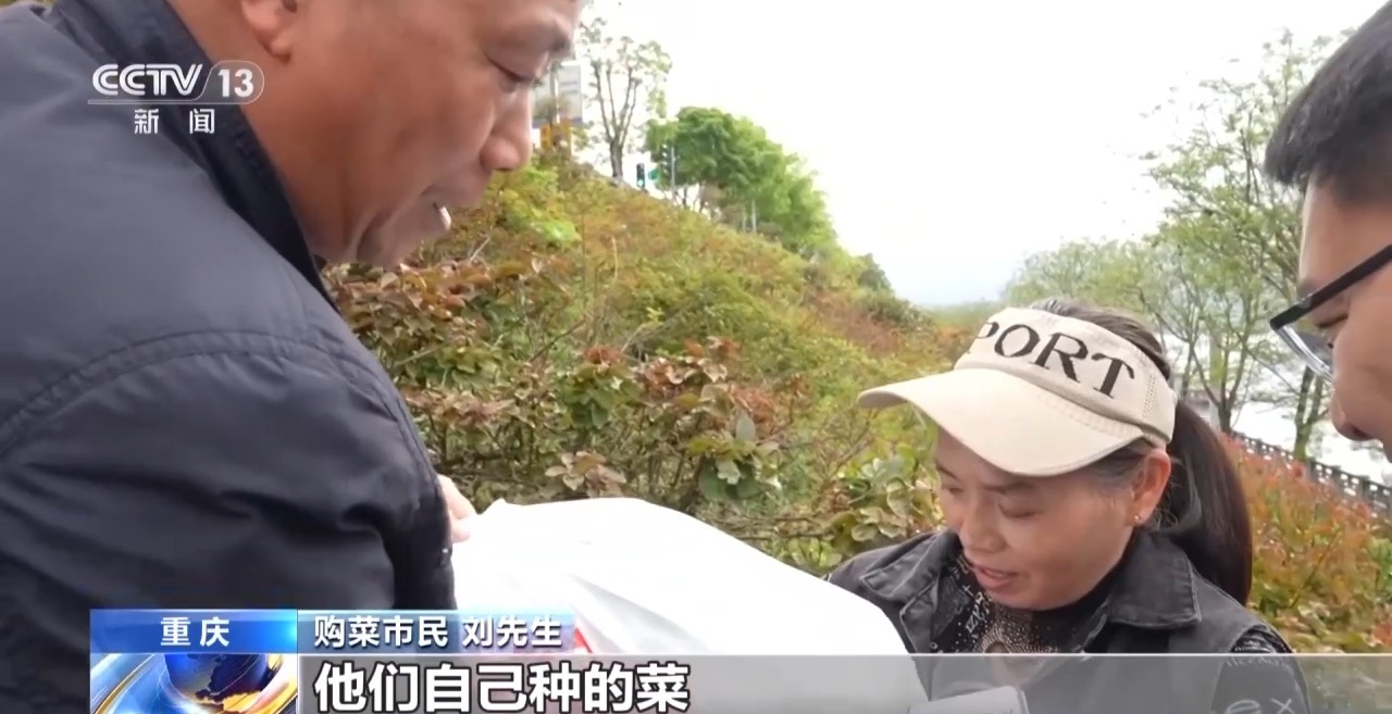 未命名图片
