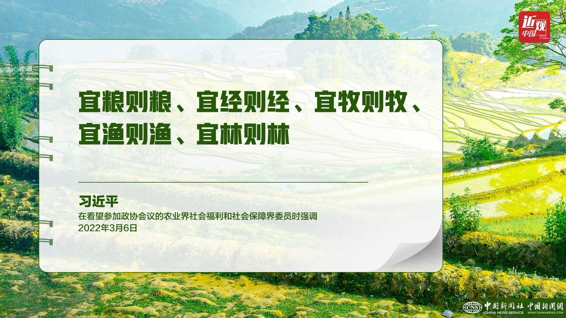 习近平:树立大食物观,构建多元化食物供给体系