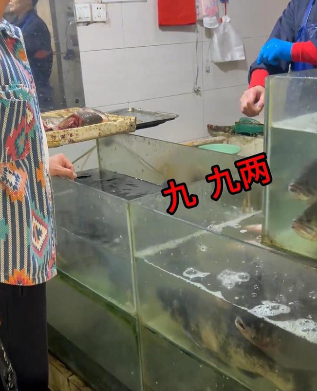 未命名图片