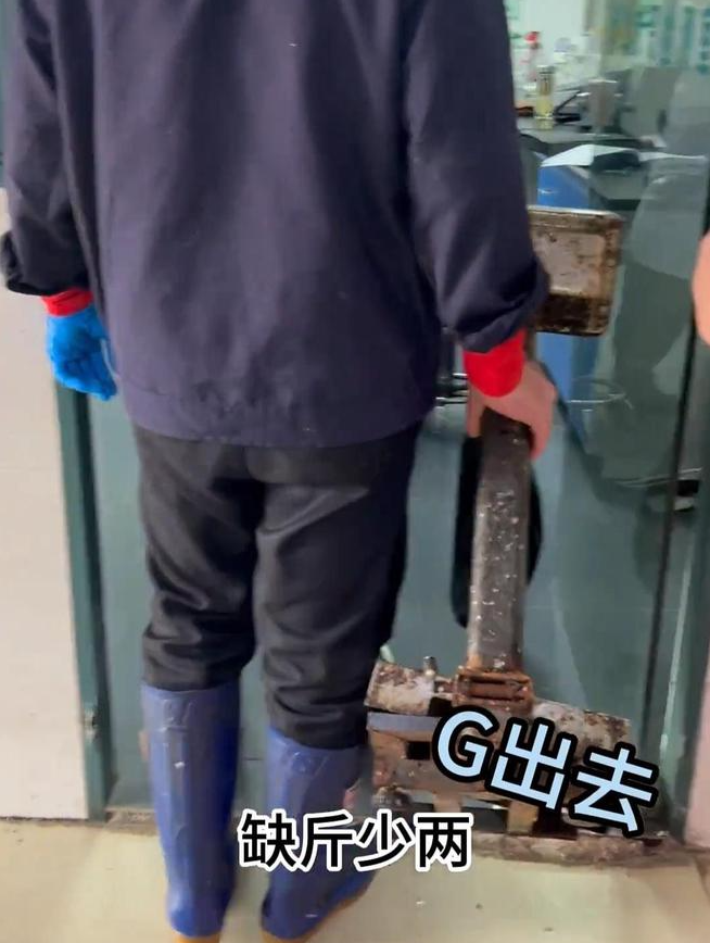 未命名图片