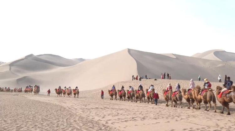 游客敦煌鸣沙山骑骆驼拍照被索要20元小费，景区：遇此情况可打电话投诉