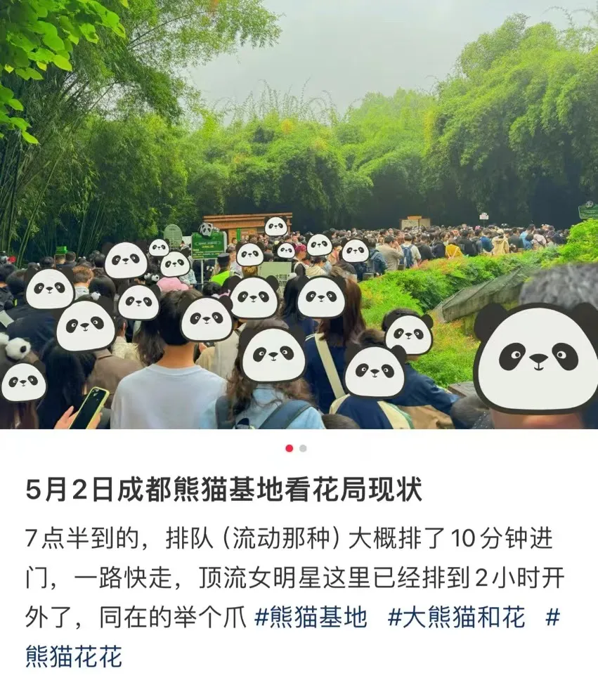 热搜爆了！大唐不夜城“被六国游客攻陷”！有景区挤到“一回头就脸贴脸”，乐山大佛看佛脚排4小时，西湖边上全是人……