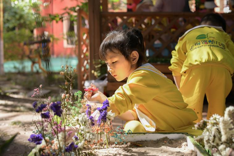 幼儿开展插花活动2