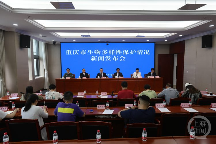 重庆发现并命名4个全球新物种 看看你都认识吗