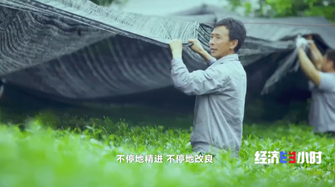 法式鹅肝、鱼子酱…小县城隐藏世界美食！“隐藏款”土特产“藏”不住了