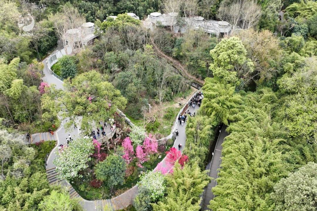 成都熊猫基地14号圈舍环境恶劣，场馆设施不达标？系谣言