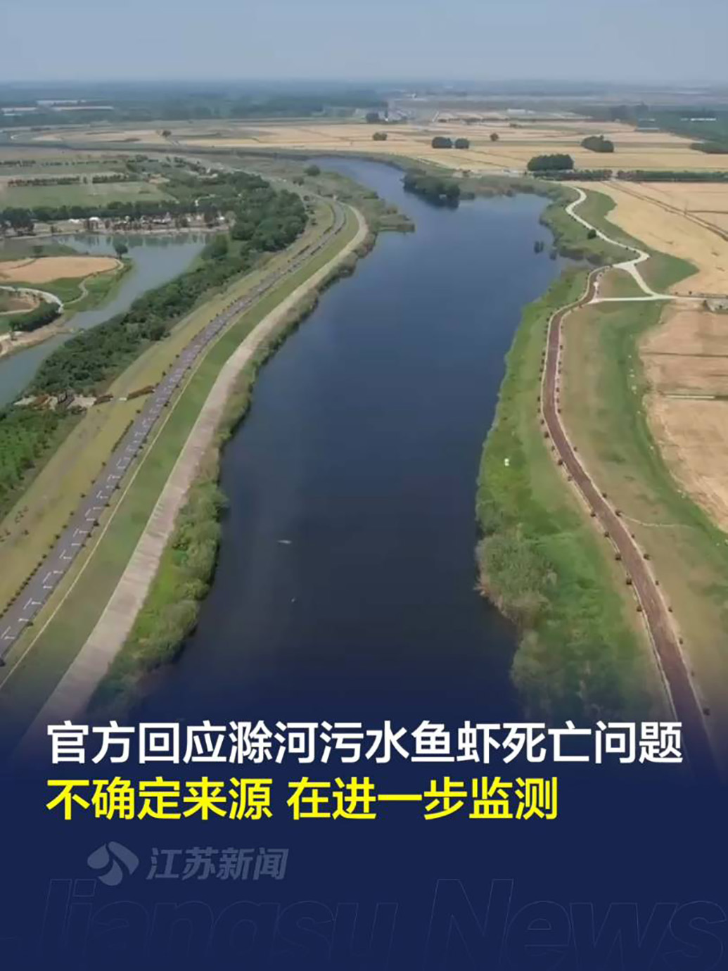 安徽全椒回应滁河下游南京段有大量死鱼：关闸截污，调查原因