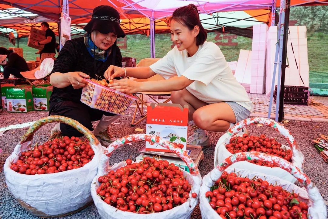 “还会继续降”!这款水果价格腰斩,网友直呼:原来论颗吃,现在论盆买……