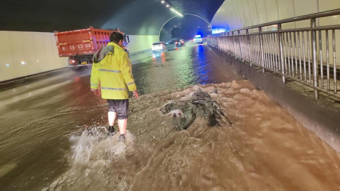 4514b7f7212acef5673003159dc33bd3_